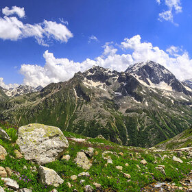 ��� ������� �����