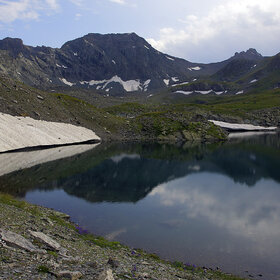 ��� ��������� ���������