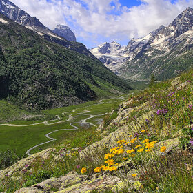 ������ �����