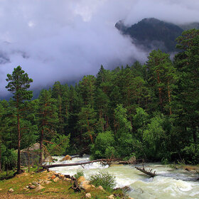 �������