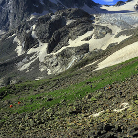 ������� ������� �����