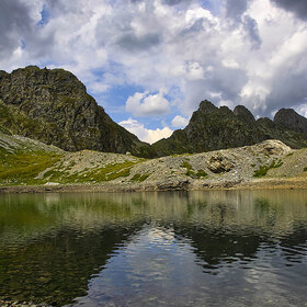 ������ ����� �����