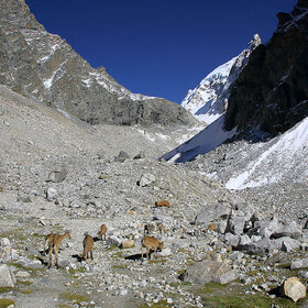 � ������ ���