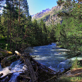 �������