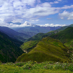 �������